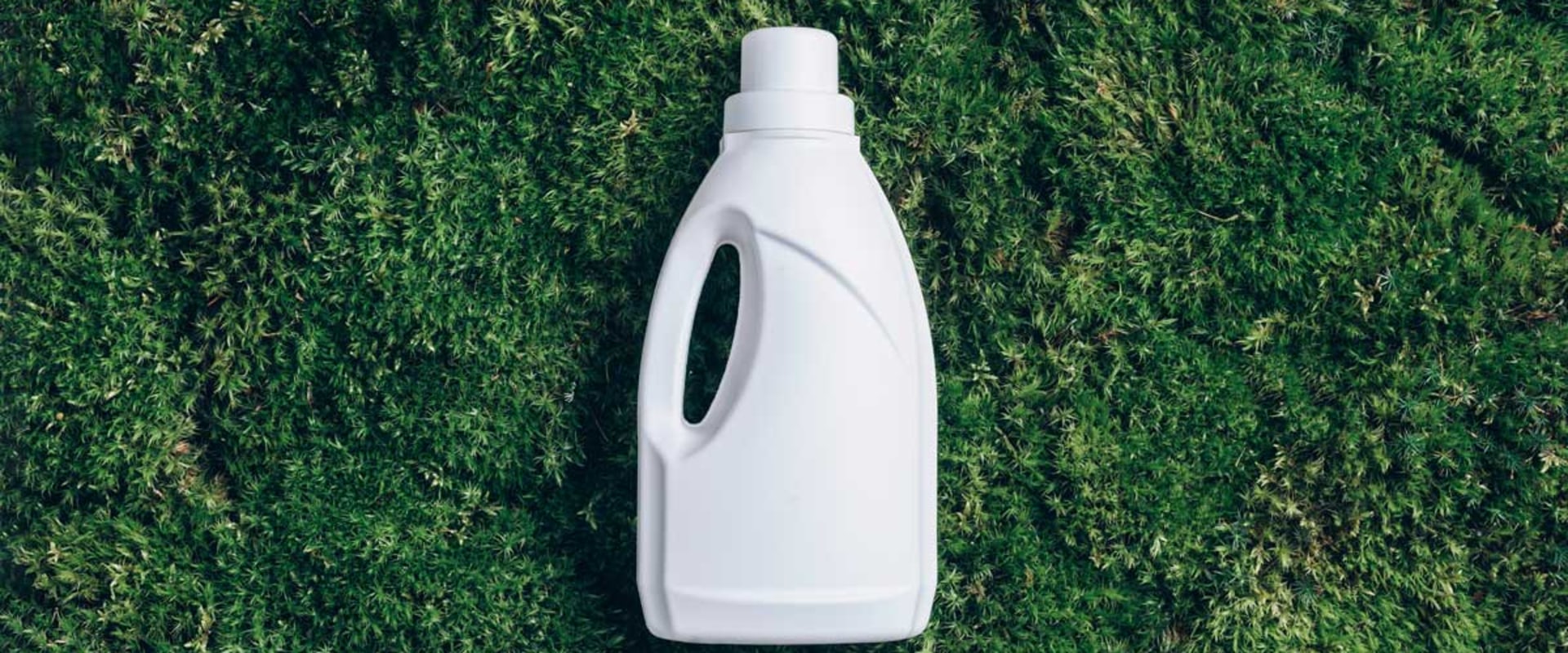 Eco-Friendly Initiatives: The Green Side of Low Price Autoglass Hammond