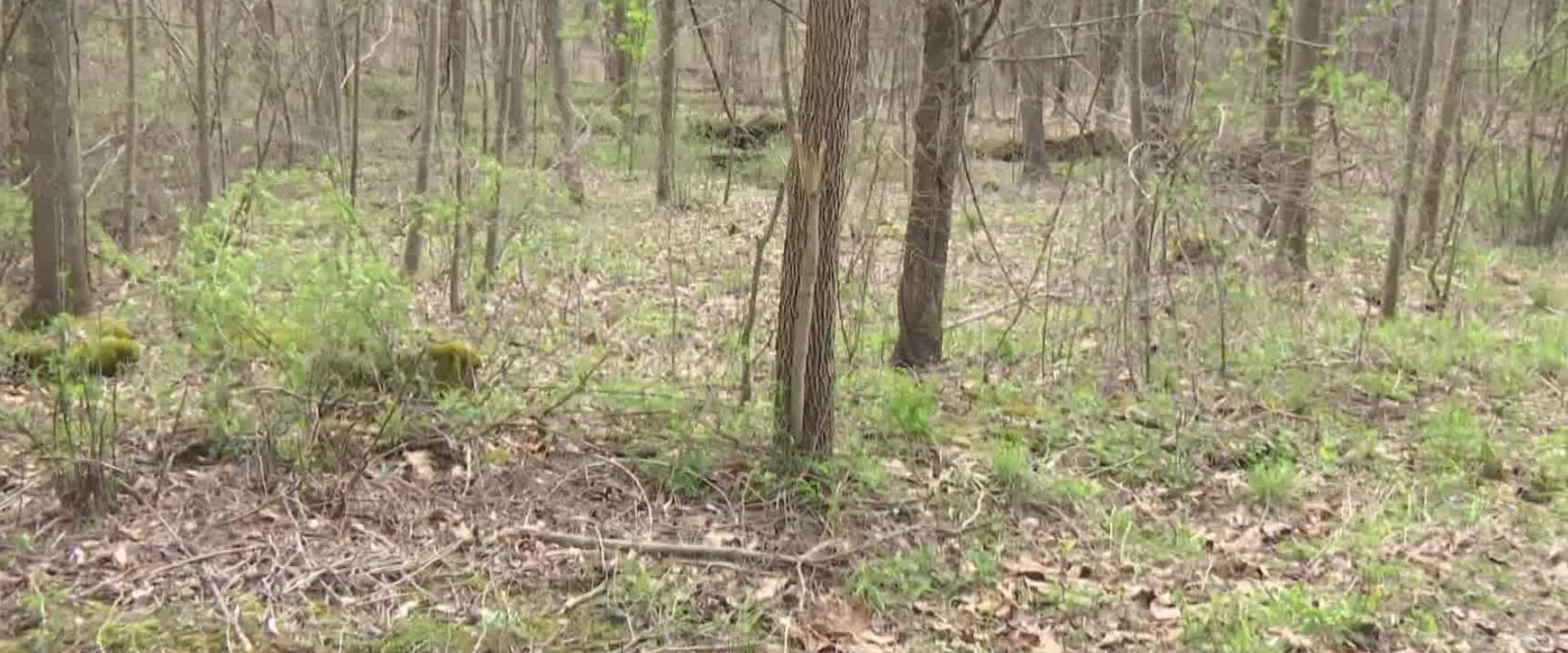 Who found indiana?