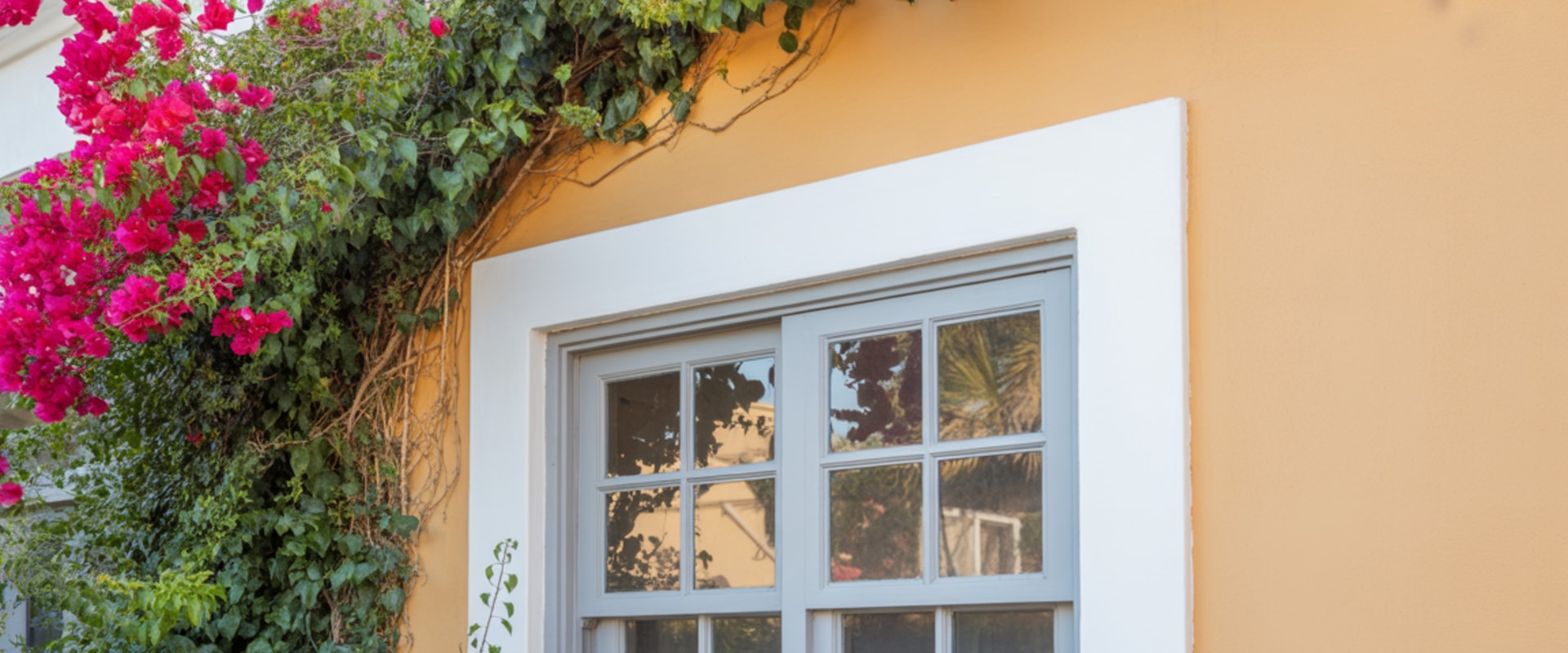 San Diego Window Replacement News: Trends, Technology, and What Homeowners Need to Know