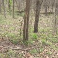 Who found indiana?