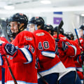 Win Finances: The Hockey Wealth Group! in Indiana