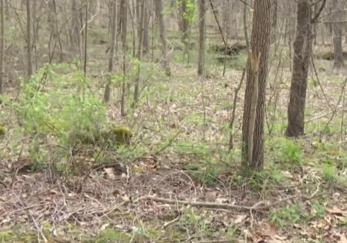 Who found indiana?